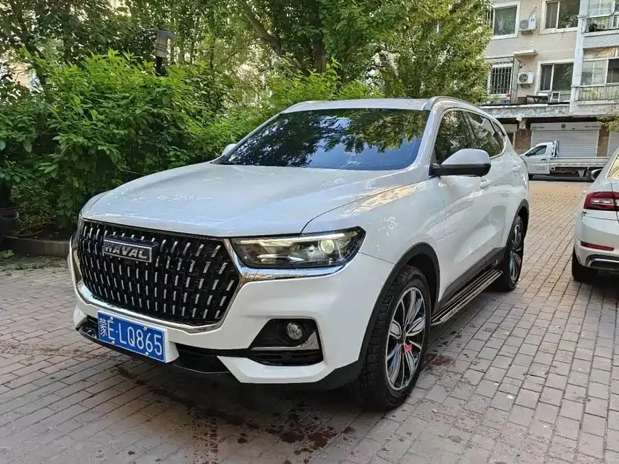 Haval H6 2023 Guochao Edition 1.5T Auto Champion FWD