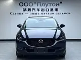 CX-30 2021款 2.0L 自动嘉悦型 2.0L 自动 前置前驱 2
