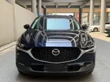 CX-30 2022款 2.0L 自动耀悦型黑曜版 2.0L 自动 前置前驱 16