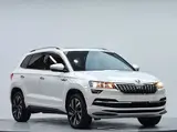 Skoda Karoq 2022 TSI280 Luxury Edition 1.4T АКПП Передний привод 14