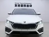 Skoda Octavia PRO 2022 TSI280 Luxury Edition 1.4T АКПП Передний привод 4